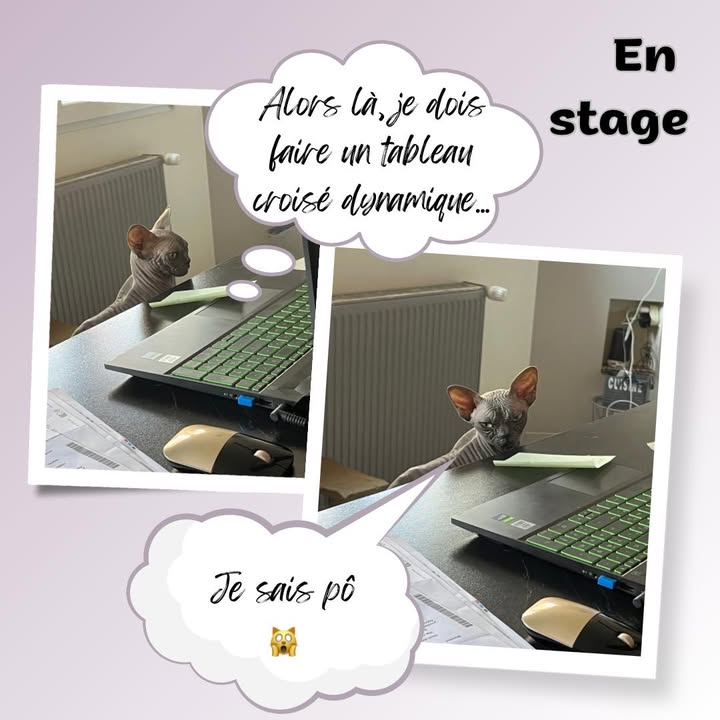 AD Assistance Secrétariat