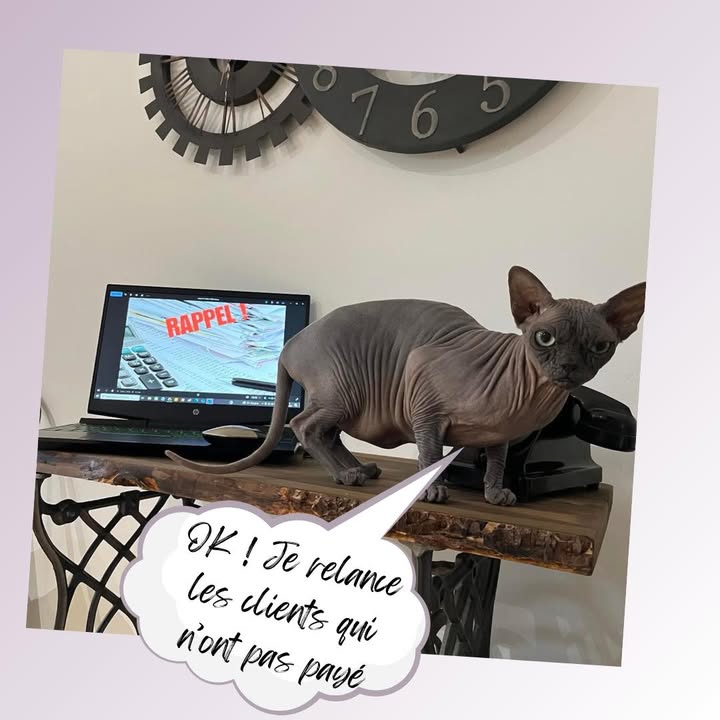 AD Assistance Secrétariat